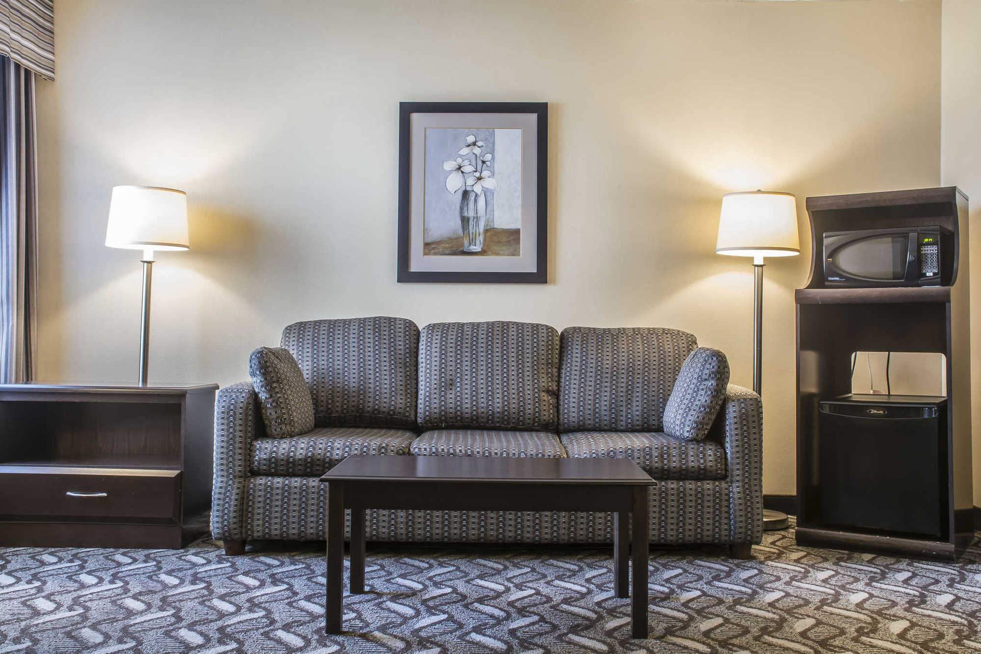 Comfort Inn & Suites Ambassador Bridge Віндзор Номер фото