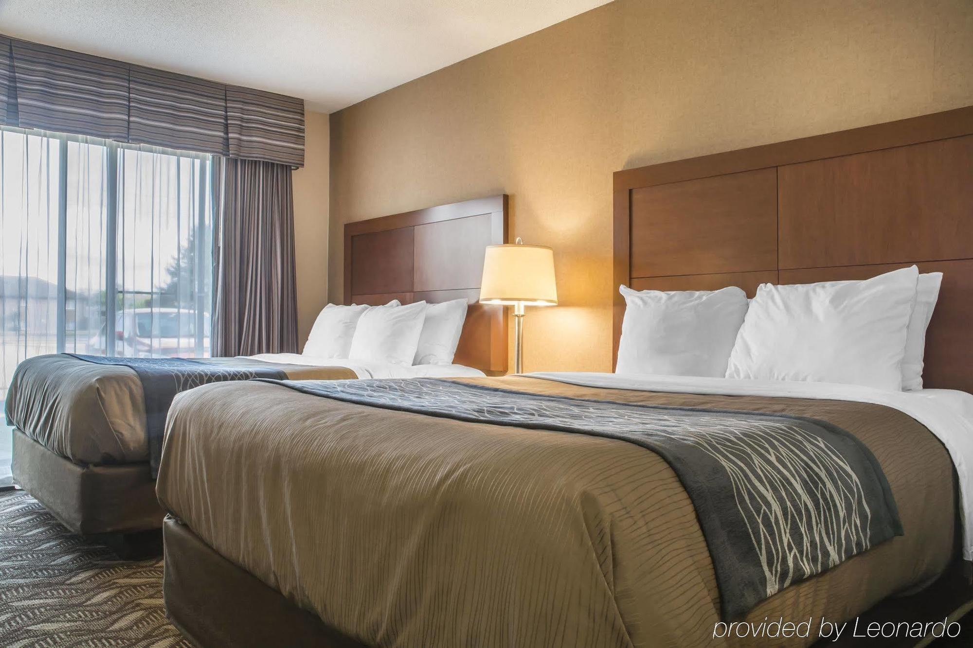 Comfort Inn & Suites Ambassador Bridge Віндзор Екстер'єр фото